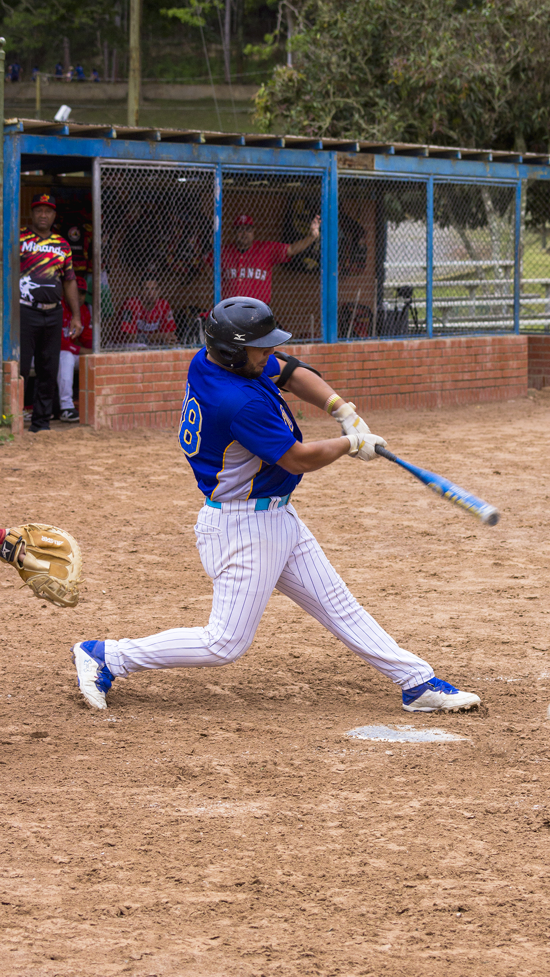 Actividad de softbol